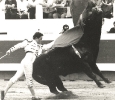 tauromachie_03.jpg