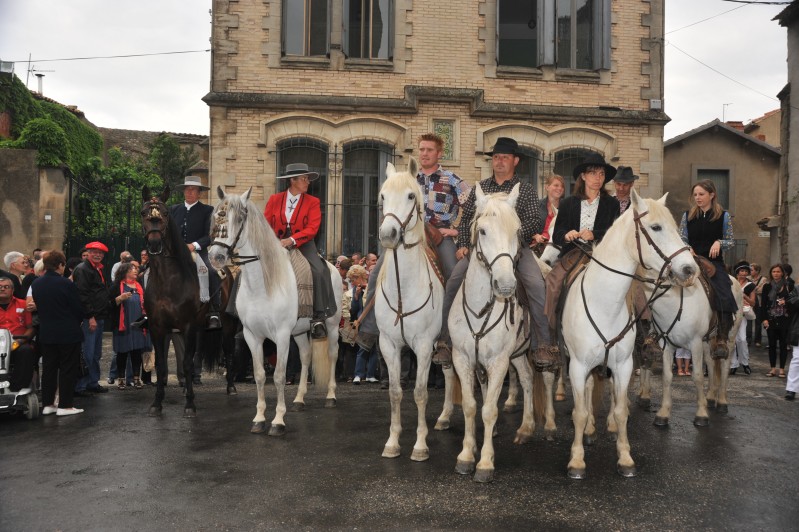 le couple cheval cavalier une belle harmonie et beaucoup d'allure.....